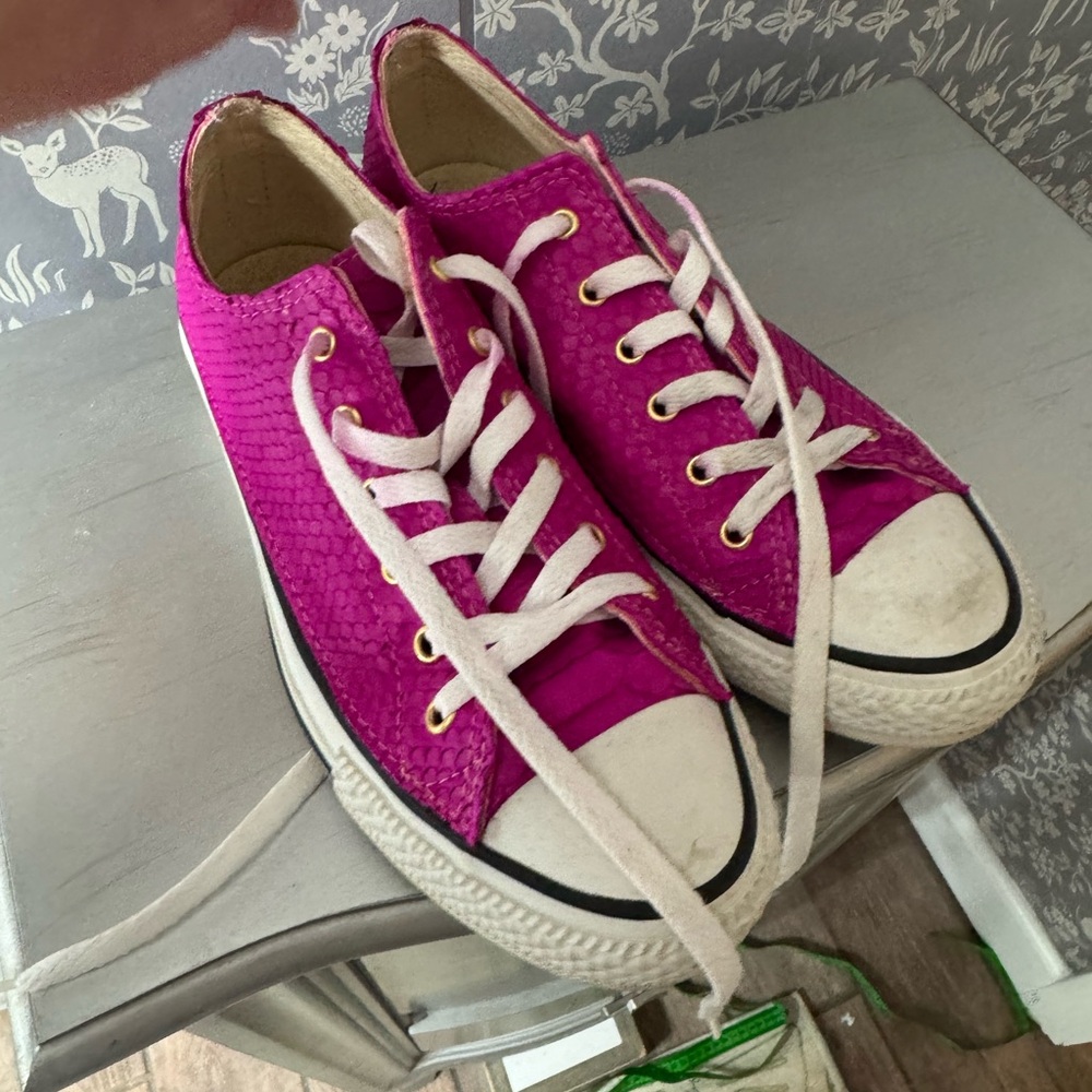 Custom taxidermy shoes
